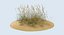 Sanddünen mit Gras 01