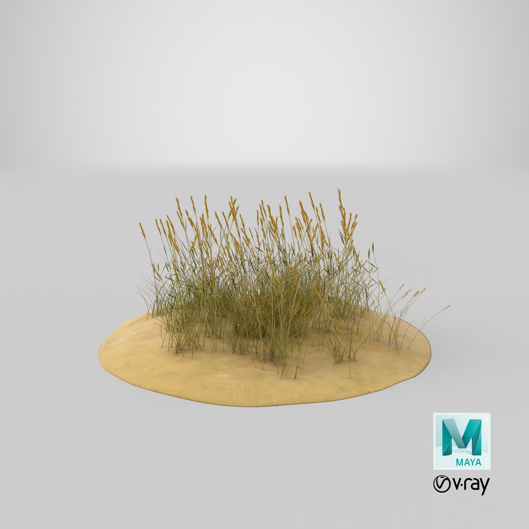 sand-dunes-with-grass---dune-1 3D model https://p.turbosquid.com/ts-thumb/Zg/e0CWMn/pxLyCCGO/stemcell_maya_vray_render/png/1544824904/1920x1080/fit_q87/a03ee15fe15c07d82bab61f59a612f7ca577a734/stemcell_maya_vray_render.jpg