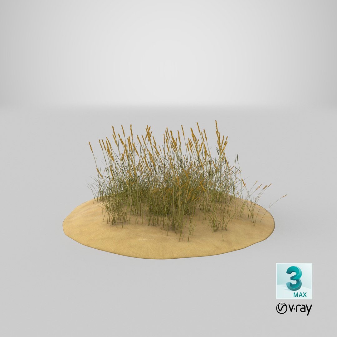 sand-dunes-with-grass---dune-1 3D model https://p.turbosquid.com/ts-thumb/Zg/e0CWMn/zj1JEAUx/stemcell_max_vray_render/png/1544824912/1920x1080/fit_q87/051a534941926b40c27848be25a159dcedae1153/stemcell_max_vray_render.jpg