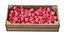 Water Java Apple Wooden Crate