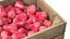 Water Java Apple Wooden Crate