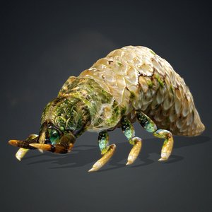 Larval-V1d