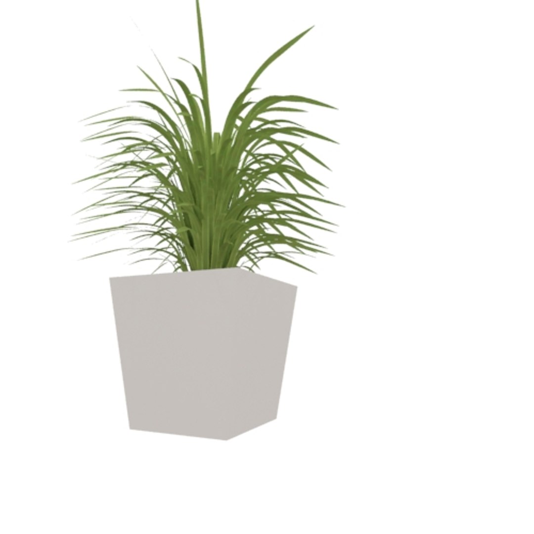 Small Grass Plant 3d Model