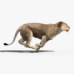 lioness fur animation 3d max