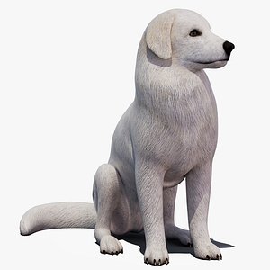 Rigged Great Pyrenees Dog 3D Model - Game-Ready