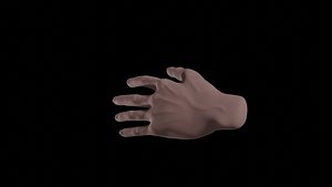 Realistic human hand