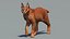 Caracal animado de bajo polígono
