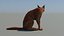 Caracal animado de bajo polígono