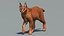 Caracal animado de bajo polígono