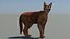 Caracal animado de bajo polígono