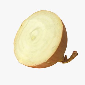 3D Half Of Onion