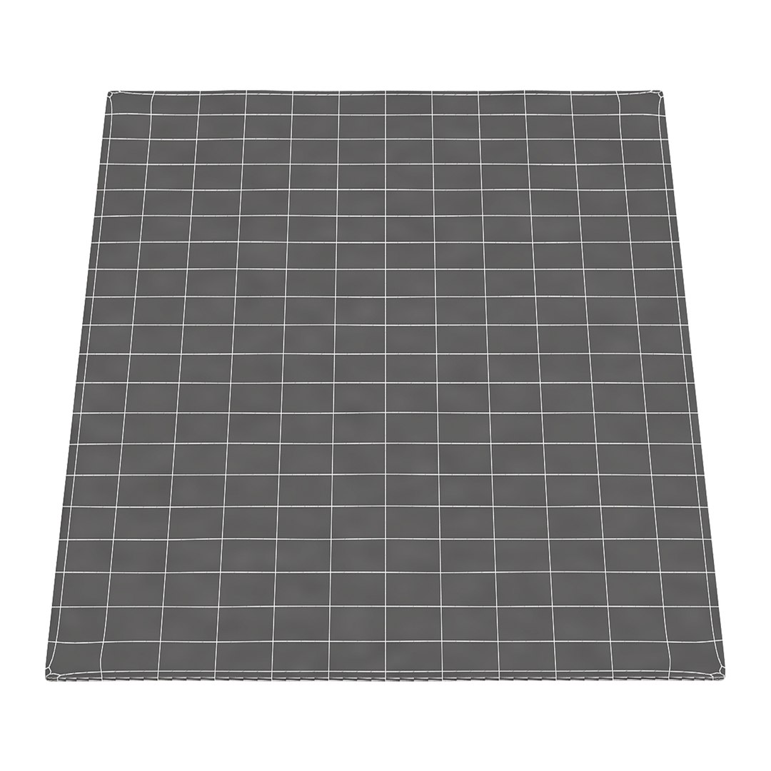 Madison carpet 3D model https://p.turbosquid.com/ts-thumb/Zh/RUKWTq/SP/postsetka/jpg/1721910705/1920x1080/fit_q87/7ad3c7ae676f1b0c3492cde0f9ebef774be10487/postsetka.jpg