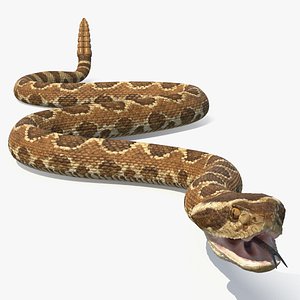 3D Light Rattlesnake Crawls Animated Rigged for Cinema 4D