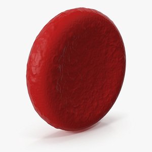 Erythrocyte Blood Cell 3D model