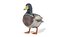 anatre