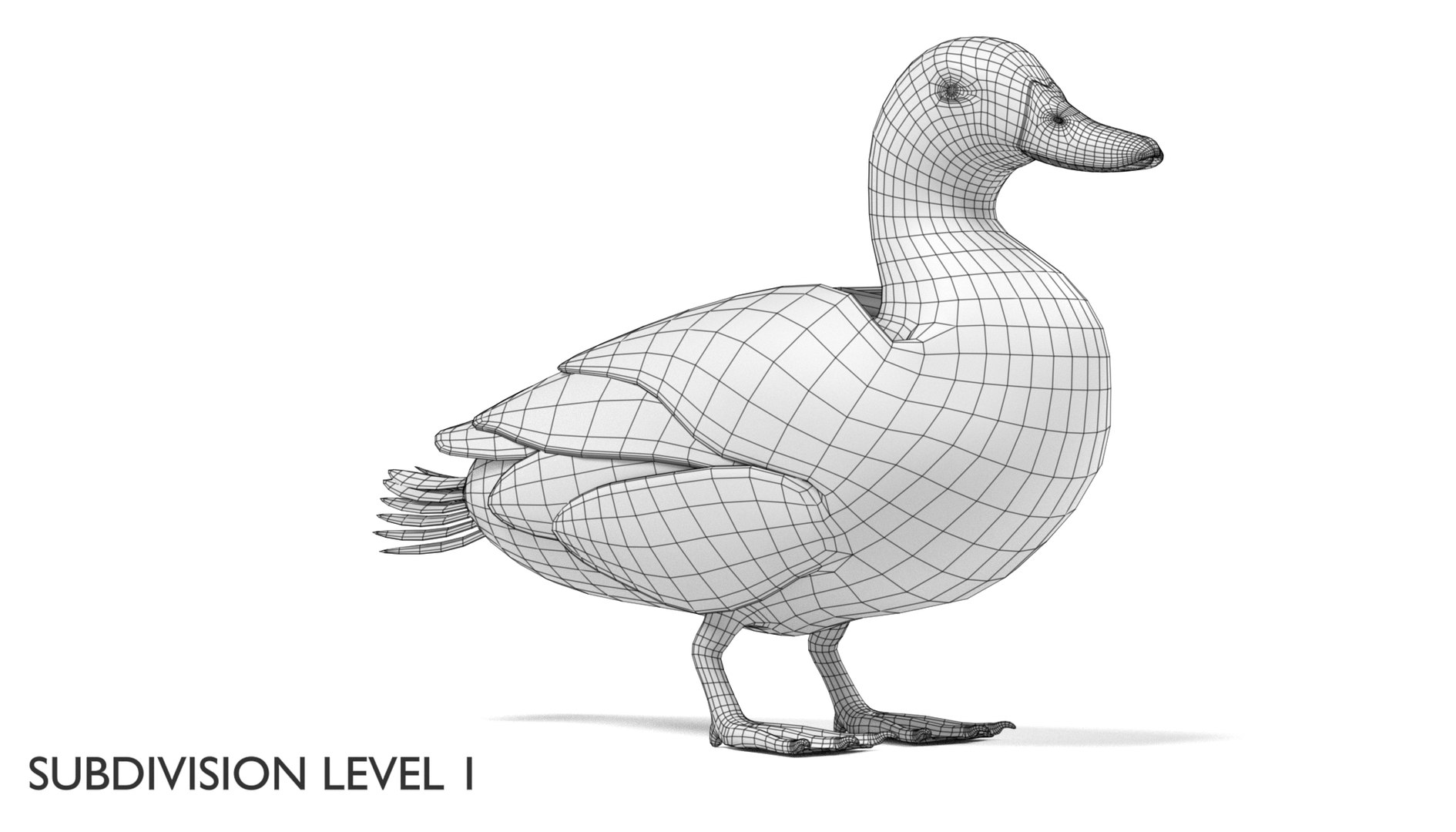 wild ducks 3D model https://p.turbosquid.com/ts-thumb/Zh/WcfwVh/8uZMrChL/duckfemalew1b/png/1495719606/1920x1080/fit_q87/094d41f73881d1c6c0659b5600e7d7d4c90ceb26/duckfemalew1b.jpg