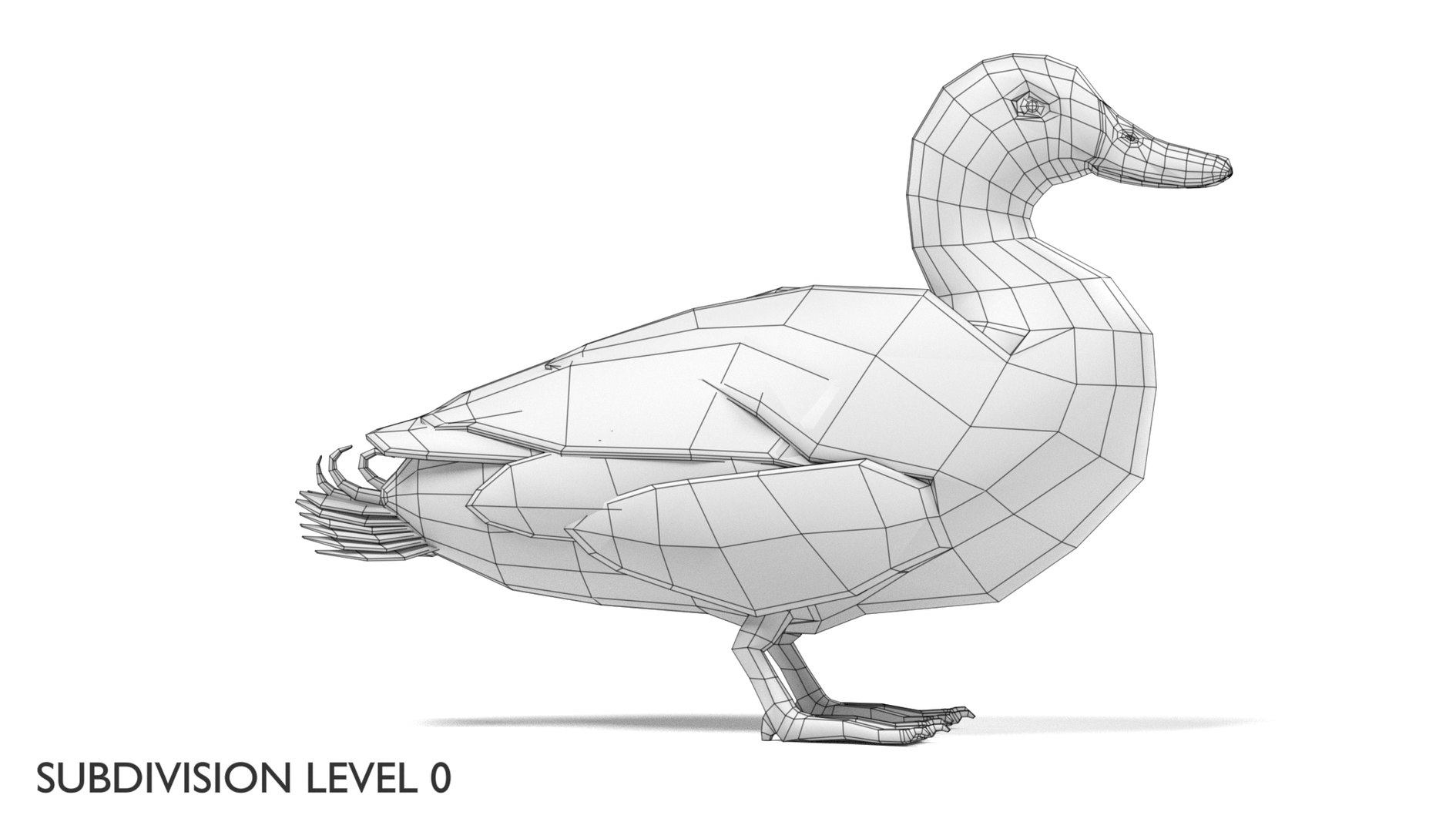 wild ducks 3D model https://p.turbosquid.com/ts-thumb/Zh/WcfwVh/IR1f3xPJ/duckmalew0/png/1495719606/1920x1080/fit_q87/f05a69ca57c985da40e5a0a31f4d78cf13254035/duckmalew0.jpg