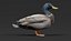 anatre