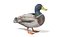 anatre
