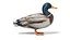 anatre