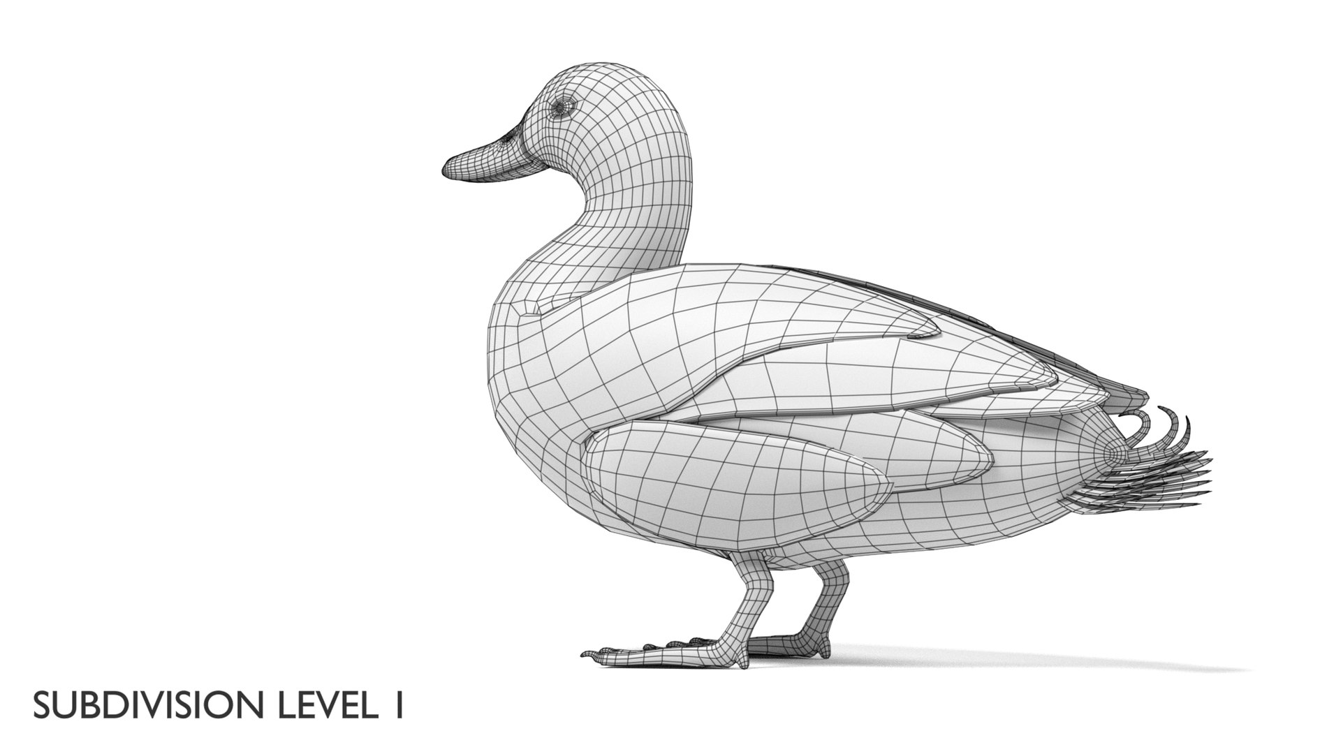 wild ducks 3D model https://p.turbosquid.com/ts-thumb/Zh/WcfwVh/mglQ9dhq/duckmalew3/png/1495719606/1920x1080/fit_q87/31b90ad6347df55bb885b685b74f5b672fbcbd60/duckmalew3.jpg