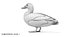 anatre