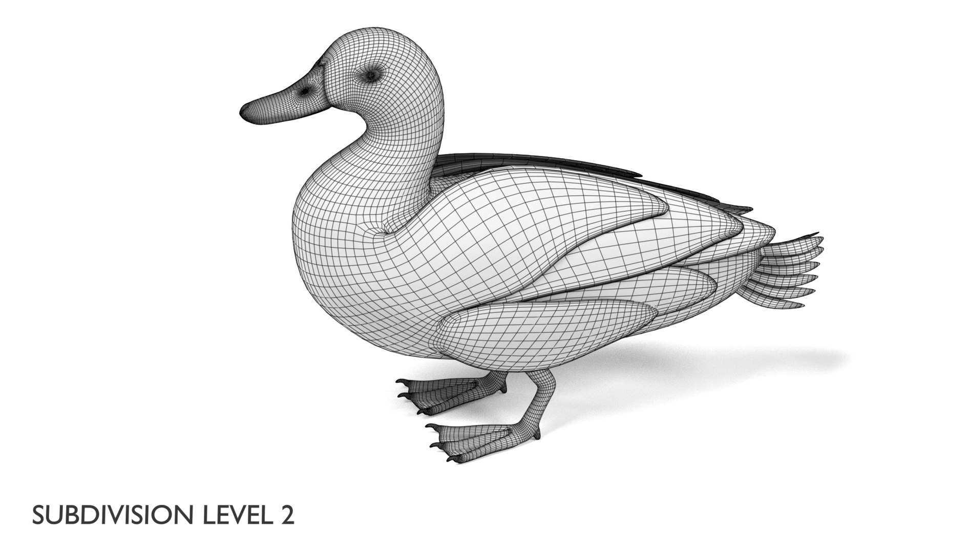 wild ducks 3D model https://p.turbosquid.com/ts-thumb/Zh/WcfwVh/nxZALluS/duckfemalew2/png/1495719606/1920x1080/fit_q87/bc17d1a18a60334d4056dea44657c61b6352c1fe/duckfemalew2.jpg