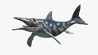 Ichthyosaurus