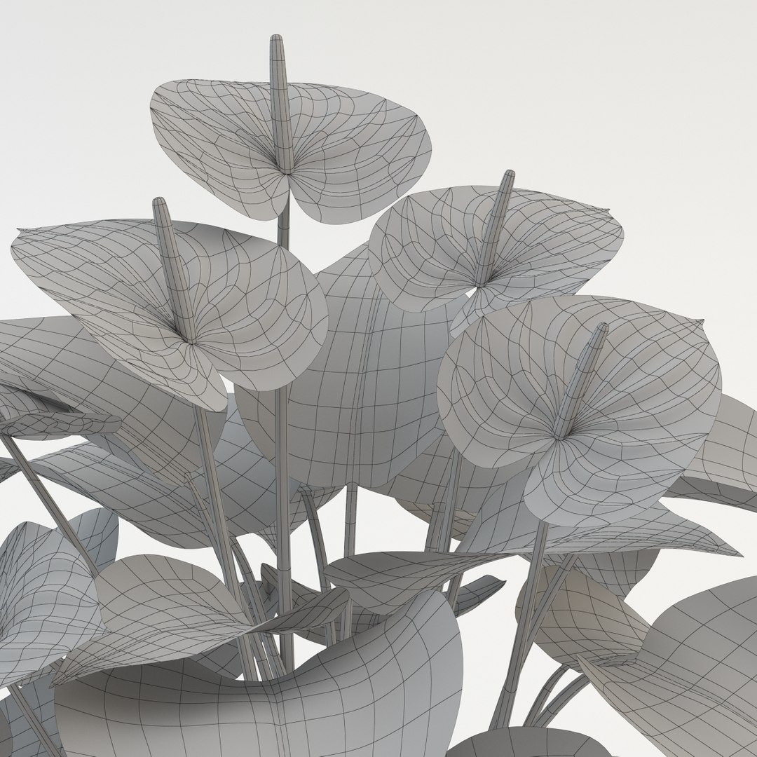 flowers pot model https://p.turbosquid.com/ts-thumb/Zh/XhlURW/W74lSP8p/anthurium_red_grid3/jpg/1392490988/1920x1080/fit_q87/2b83220395e4f9dd9c9ec396b626c67fb0fa7aae/anthurium_red_grid3.jpg