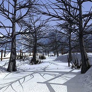 Forest 3D Models for Download | TurboSquid