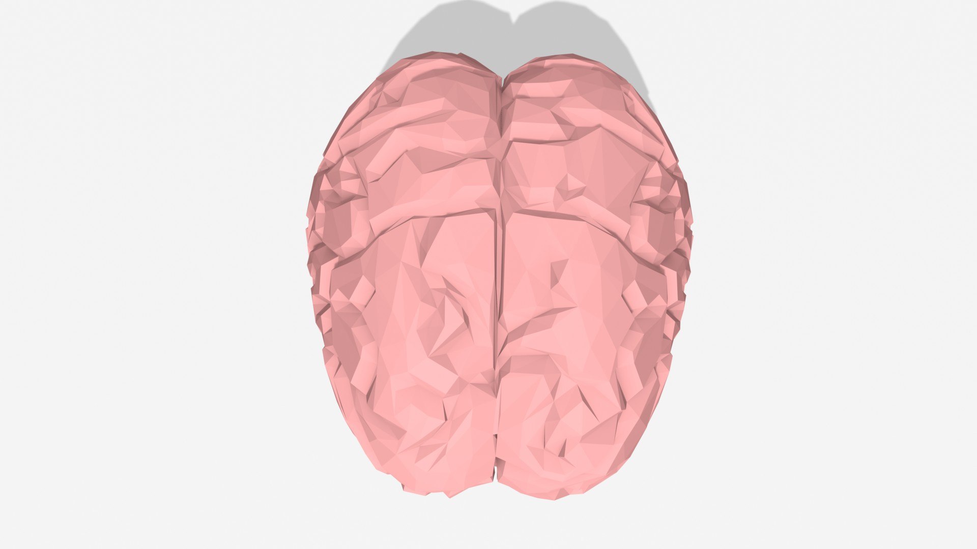 3D Low Poly Pink Human Brain - TurboSquid 2085267