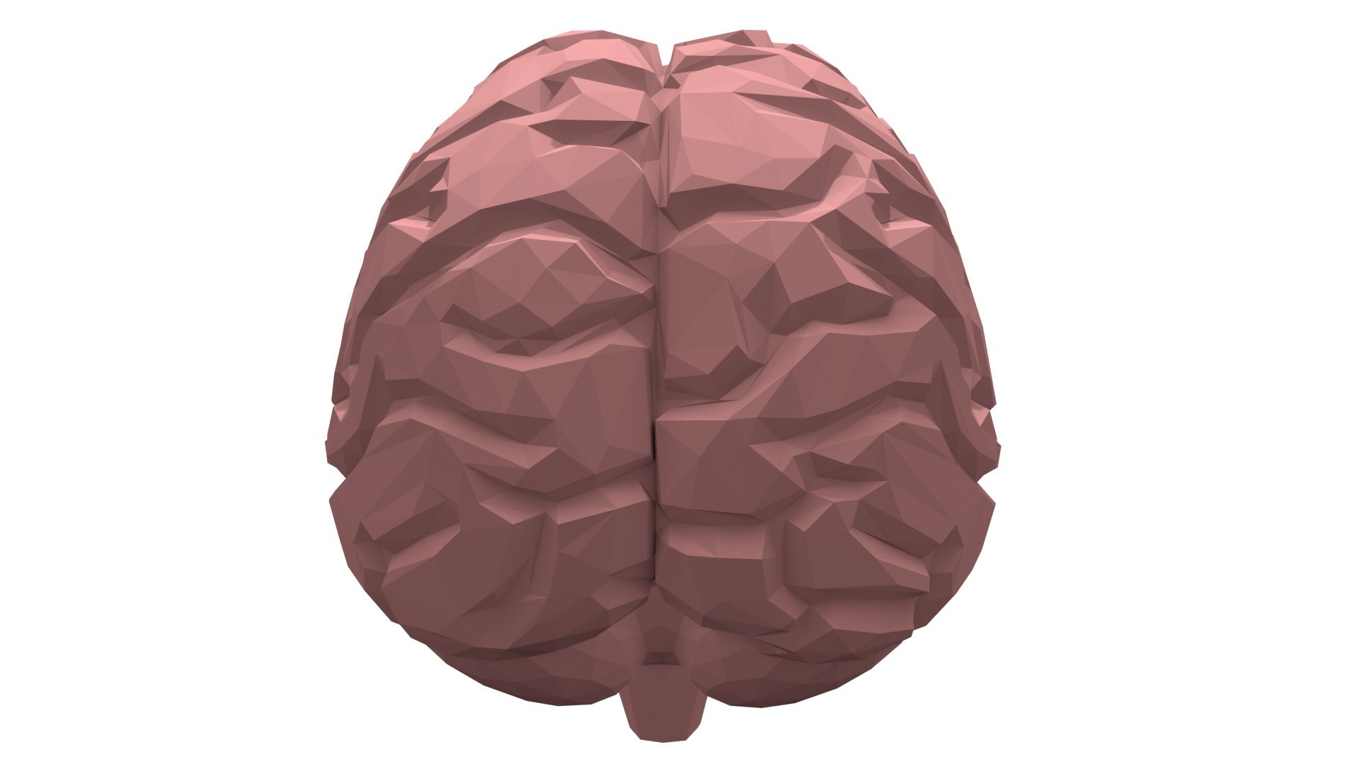 3D Low Poly Pink Human Brain - TurboSquid 2085267