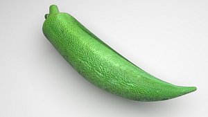 Okra 3D model
