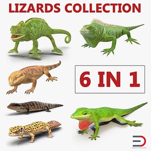 3D lizards 2 model