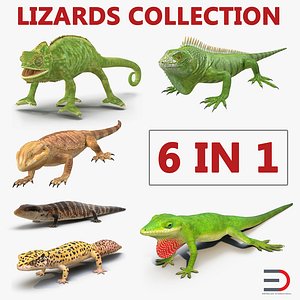Lizards Collection 2