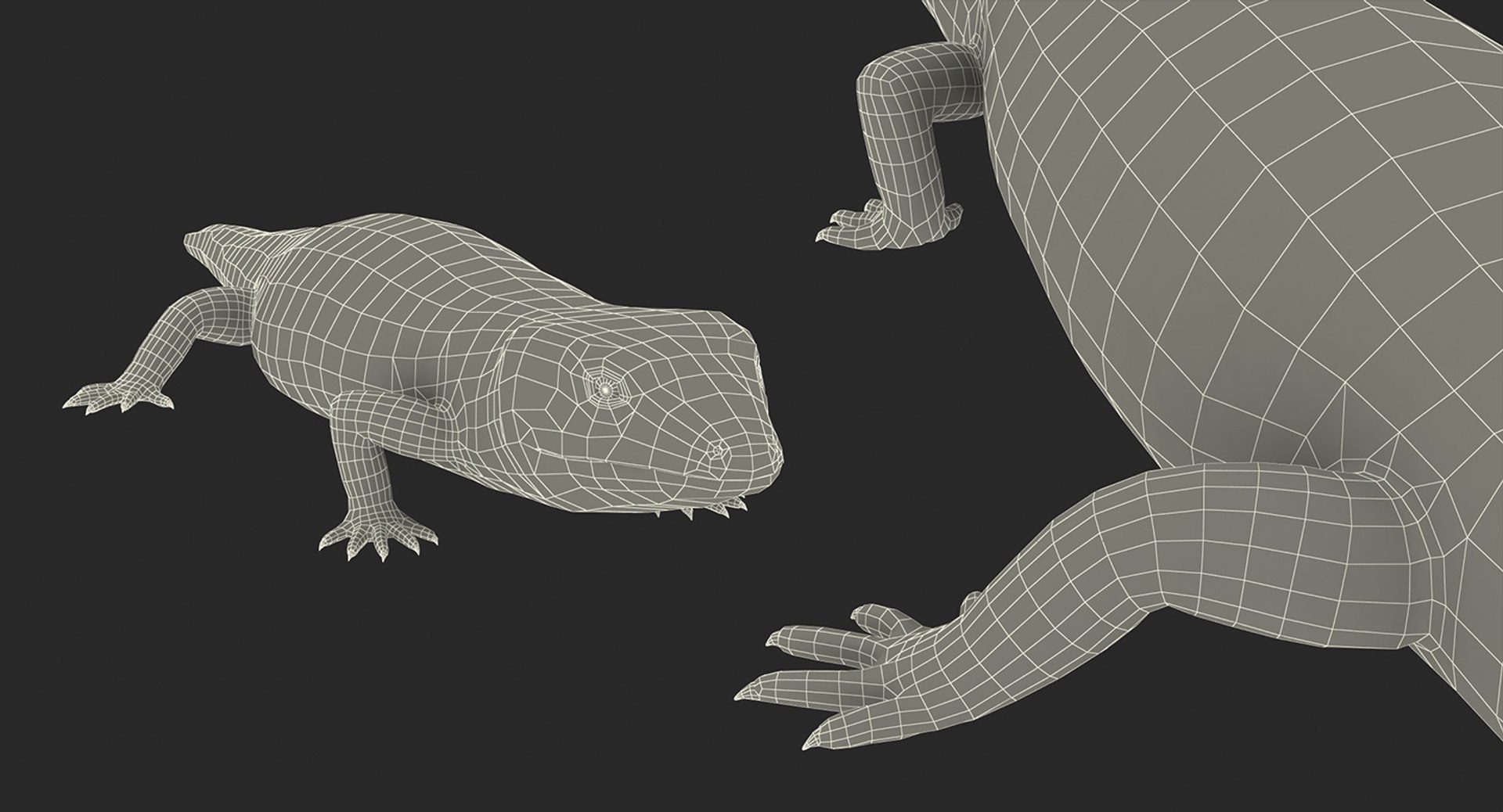 3D lizards 2 model https://p.turbosquid.com/ts-thumb/Zh/ysn9ox/2Mx0dcNM/lizardscollection3dmodels31/jpg/1504700665/1920x1080/fit_q87/143aedbaf13cd5eda2495e707ae3430569310445/lizardscollection3dmodels31.jpg