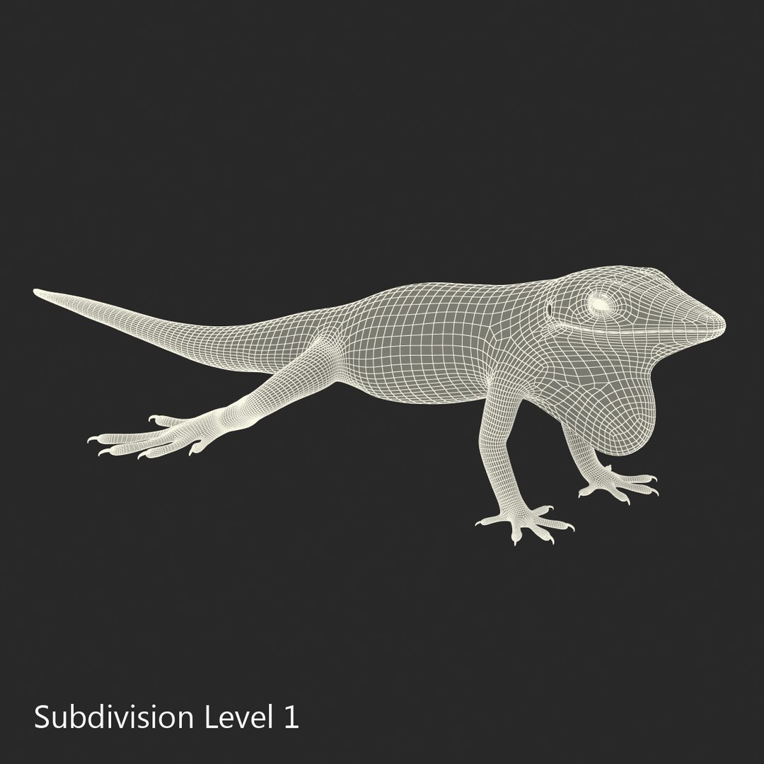 3D lizards 2 model https://p.turbosquid.com/ts-thumb/Zh/ysn9ox/EnVrj7hk/lizardscollection3dmodels19/jpg/1504700665/1920x1080/fit_q87/4921b943bf2032f4b15ff4f414f528eb185d287b/lizardscollection3dmodels19.jpg