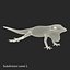 3D lizards 2 model