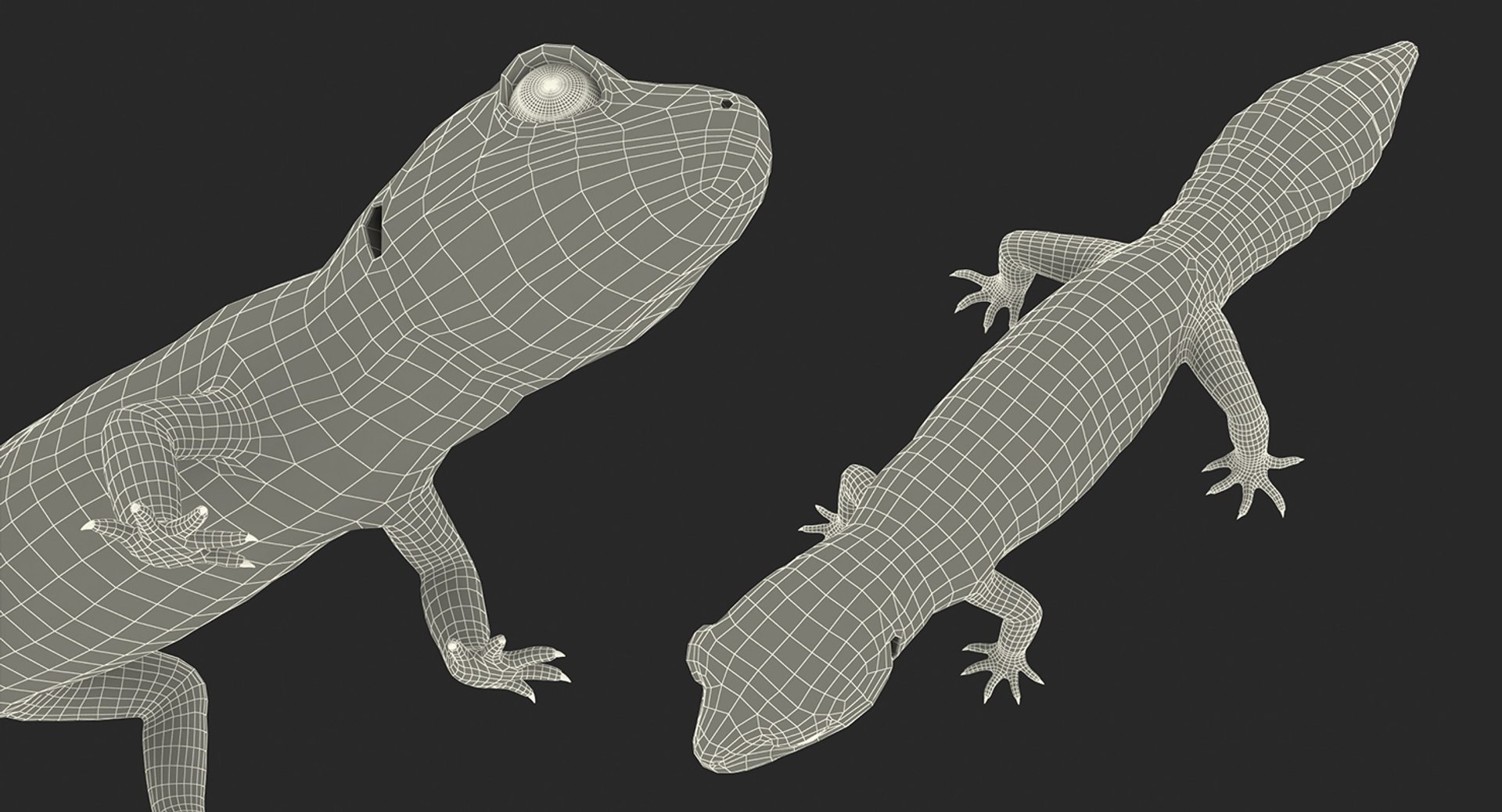 3D lizards 2 model https://p.turbosquid.com/ts-thumb/Zh/ysn9ox/IVSDB0le/lizardscollection3dmodels28/jpg/1504700665/1920x1080/fit_q87/3c1d3dce4d3041302f8c3d721dd427de17eda263/lizardscollection3dmodels28.jpg