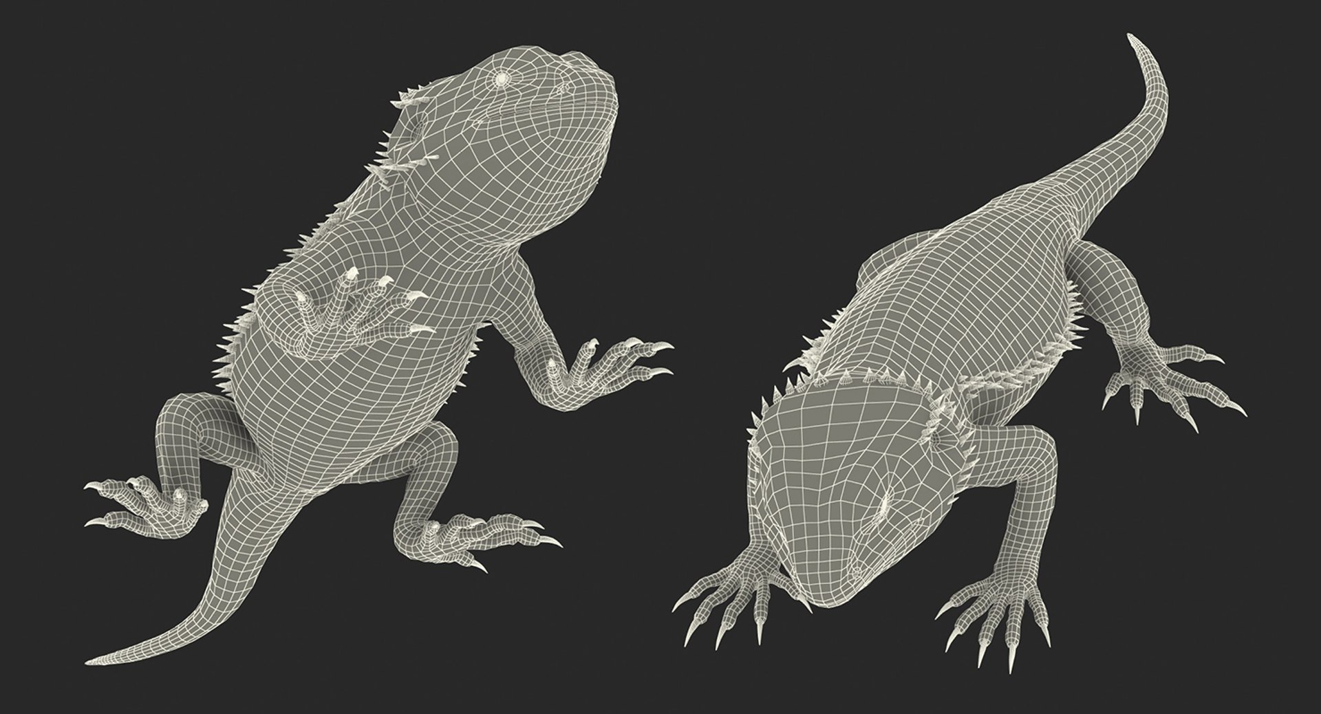 3D lizards 2 model https://p.turbosquid.com/ts-thumb/Zh/ysn9ox/JA1sdCyh/lizardscollection3dmodels29/jpg/1504700665/1920x1080/fit_q87/83b825333087570868043416d0ed7bba2e4a4e90/lizardscollection3dmodels29.jpg