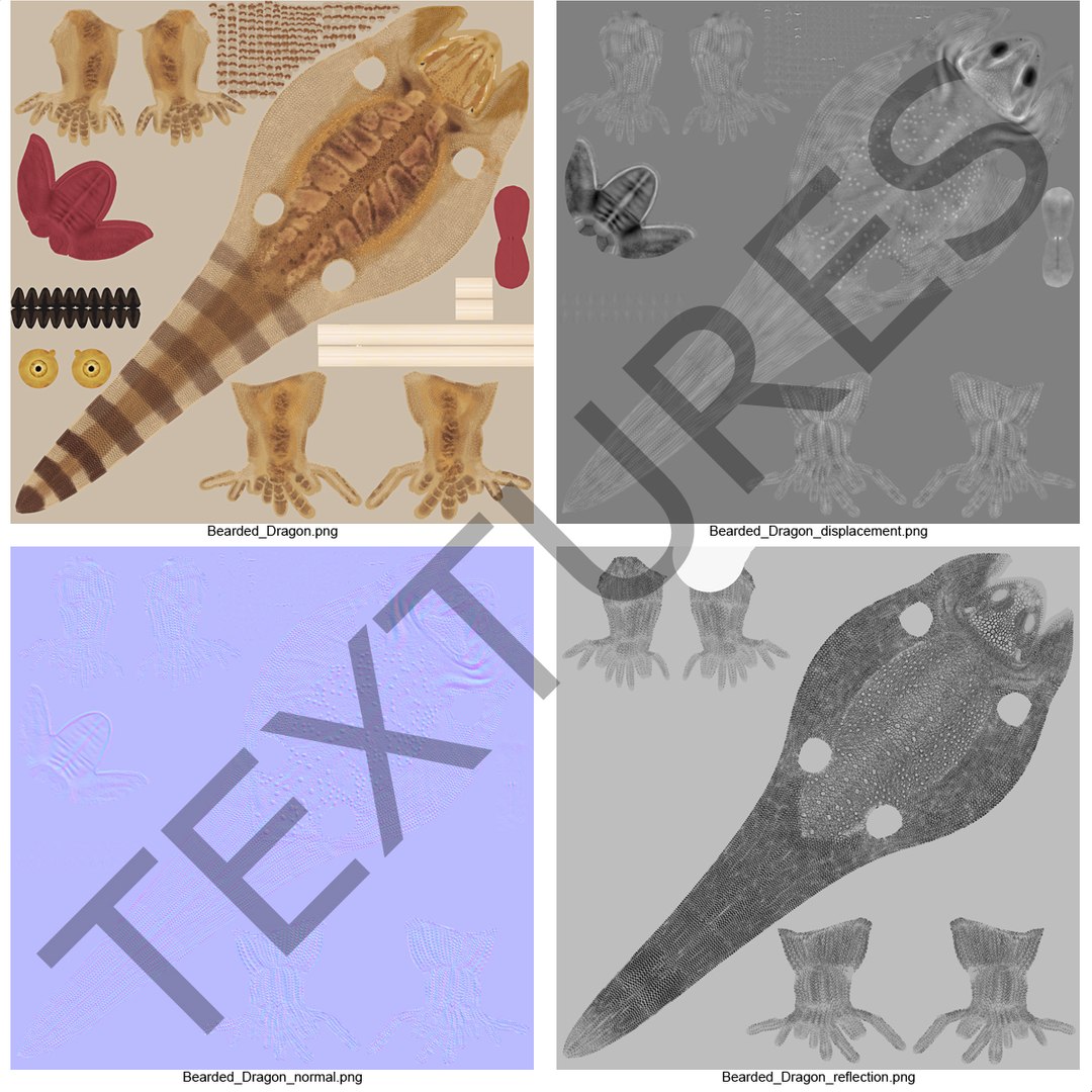 3D lizards 2 model https://p.turbosquid.com/ts-thumb/Zh/ysn9ox/daiolDZ0/lizardscollection3dmodels27/jpg/1504700665/1920x1080/fit_q87/45f80958d6facf1e17fdaaf0f5a785c1b9a3b63a/lizardscollection3dmodels27.jpg