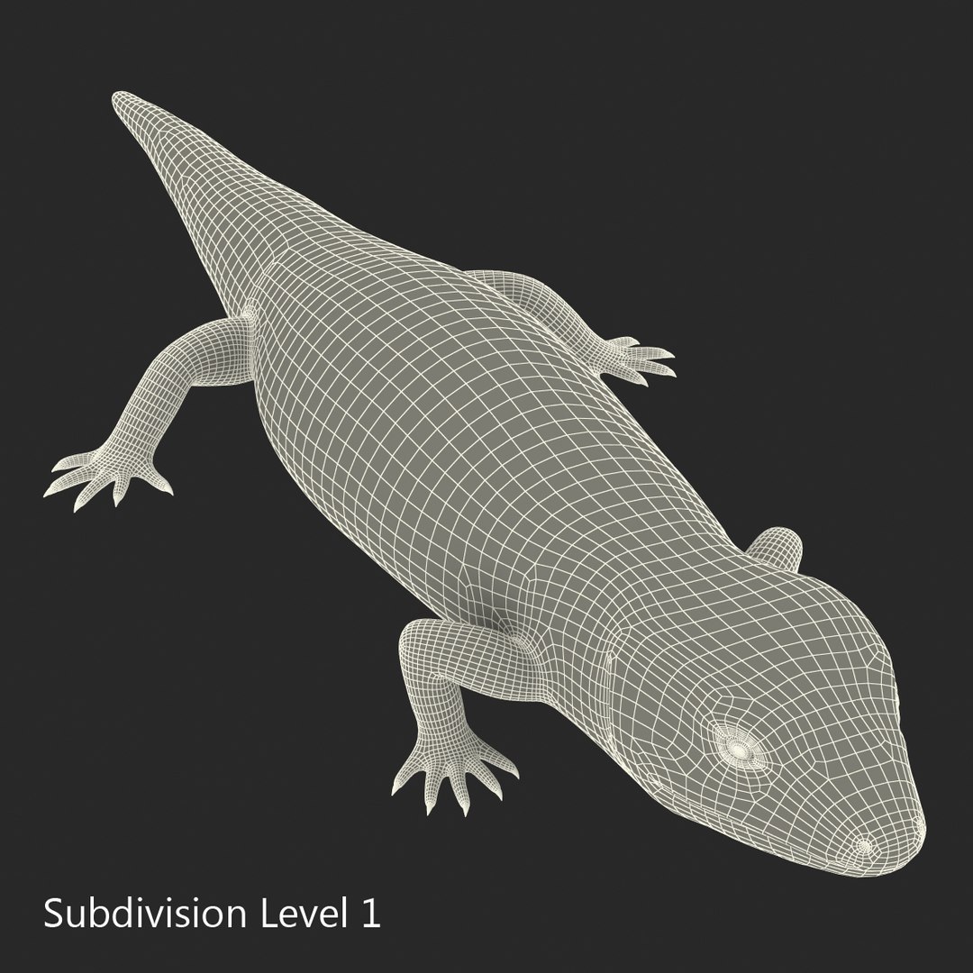 3D lizards 2 model https://p.turbosquid.com/ts-thumb/Zh/ysn9ox/euxsFBJr/lizardscollection3dmodels23/jpg/1504700665/1920x1080/fit_q87/fedb4cea1e64801426d6f3b67b5e59281c284fe3/lizardscollection3dmodels23.jpg