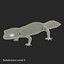 3D lizards 2 model