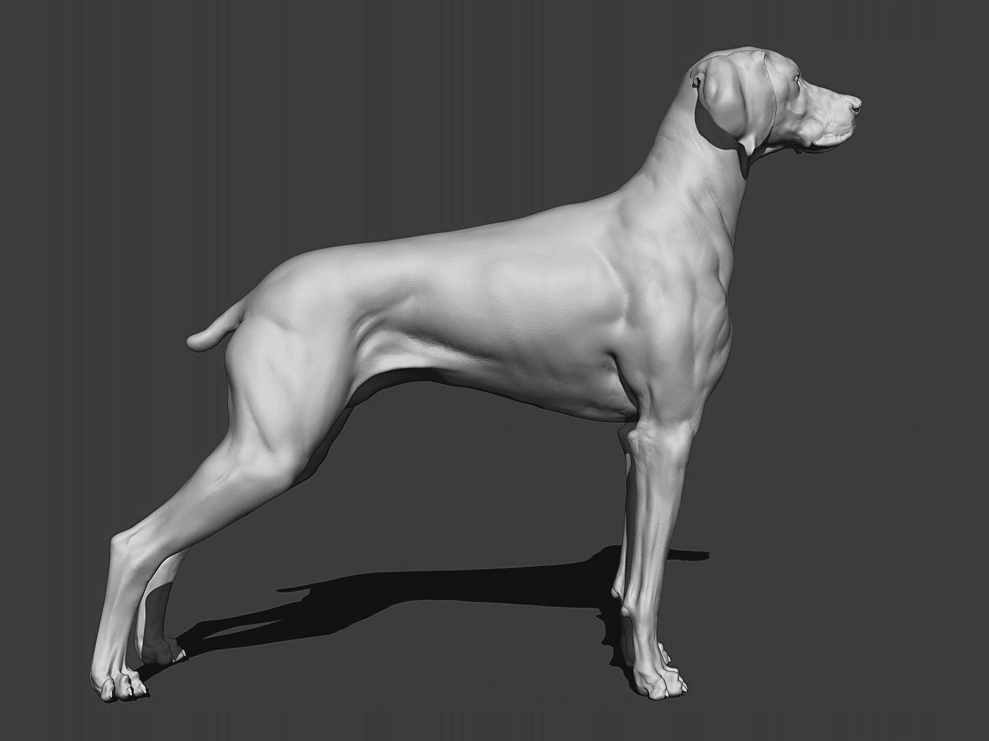 Braco De Weimar 01 3D Model TurboSquid 2157283