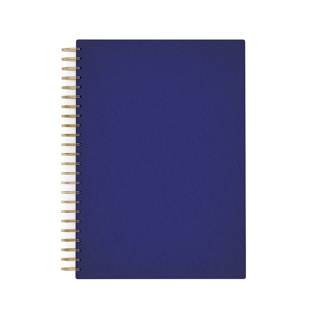 Notebook Blue Leather Max
