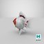 Fantail Goldfish