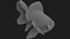 Fantail Goldfish