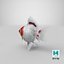 Fantail Goldfish