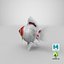 Fantail Goldfish