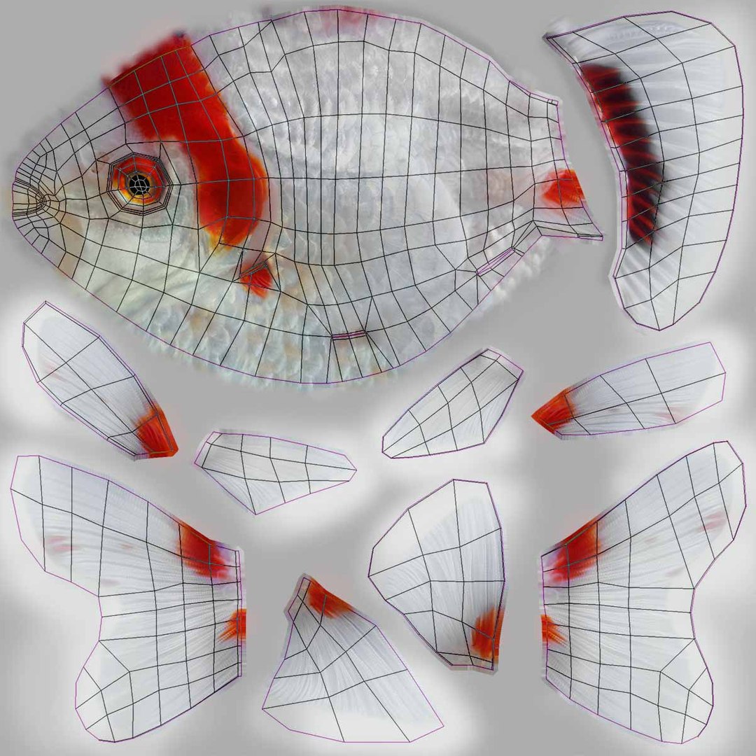 fantail goldfish 3D https://p.turbosquid.com/ts-thumb/Zi/U2QQ0e/K5Wtr9ay/lemon_rr_35/jpg/1580778100/1920x1080/fit_q87/73dcf01bf96d6dc1ab1a197446d6ed398f4f95c0/lemon_rr_35.jpg